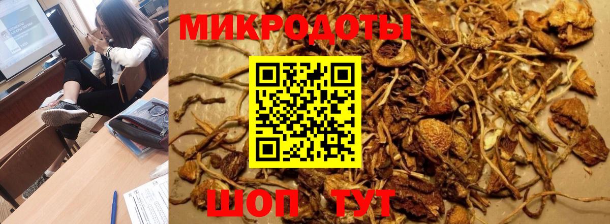 Чебоксары  Псилоцибиновые грибы Psilocybe  что такое наркотик  Вход с VPN 